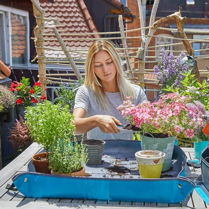 Gartenarbeit Umpflanzen von Topfkissen