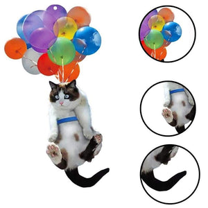 Bunte Luftballons und Kätzchen Anhänger